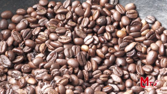 La Prefectura de Loja lanzó el proyecto Fincas Agroturísticas de la Ruta del Café.