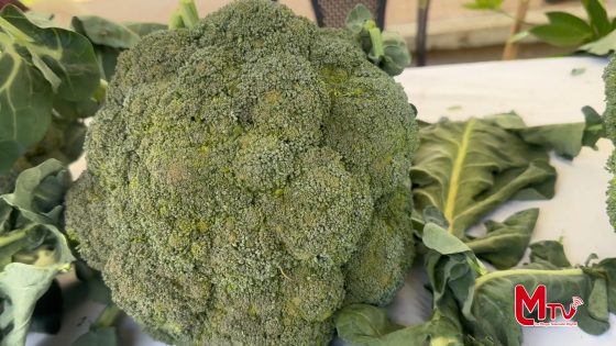 En la parroquia Santiago se desarrolló la Feria Productiva.