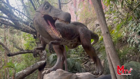 El atractivo turístico Aqua River Park cuenta con un sendero muy llamativo.