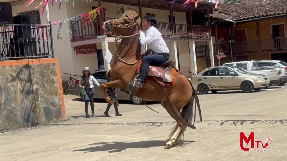 En la parroquia Santiago se llevó a cabo la exhibición de caballos de paso.