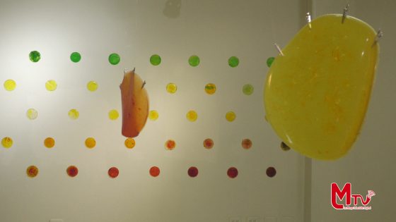 La artista visual María Emilia Patiño exhibe su obra “Ecos del tiempo de la naranja”.