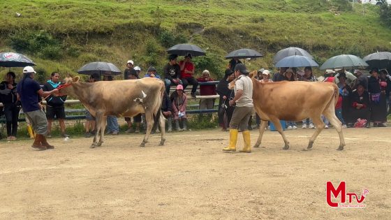En San Lucas se llevó a cabo la Feria Ganadera en el marco de los 136 años de parroquialización.